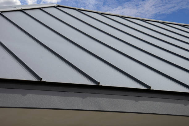 Best Commercial Roofing Services  in Alamo, TX